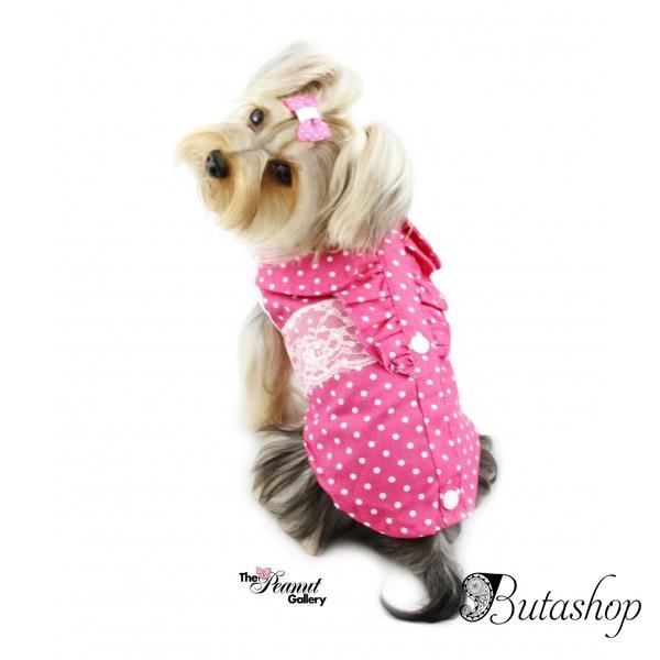РАСПРОДАЖА! Рубашка классическая с кружевом для собак розовая - butashop.com